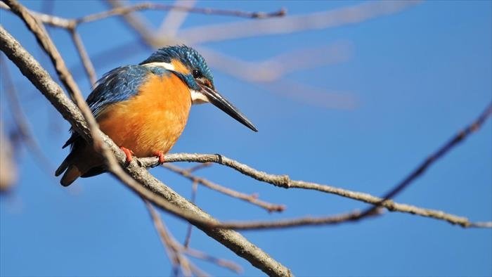Curieuse de nature