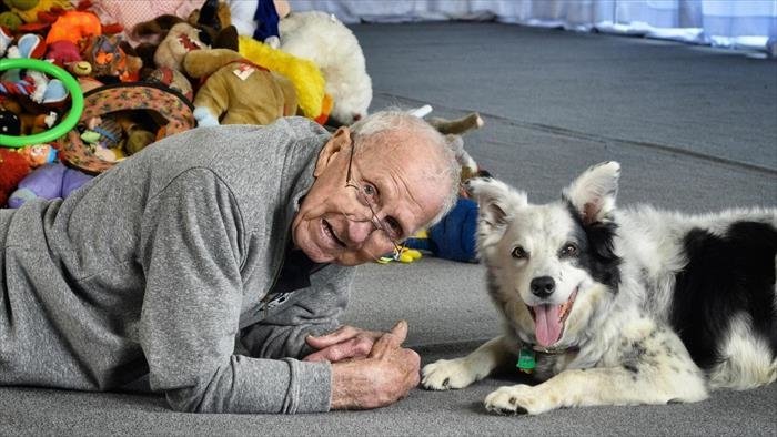 Dans la vie d'un chien