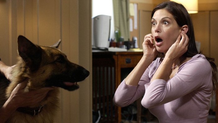 Desperate Housewives