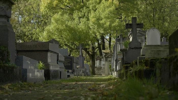 Eternel jardin
