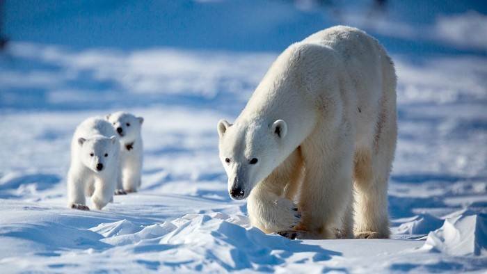 Grandeurs nature