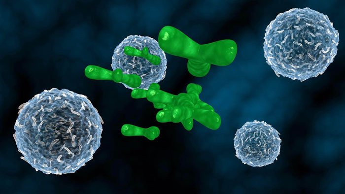 H1N1, nos virus ont de l'avenir