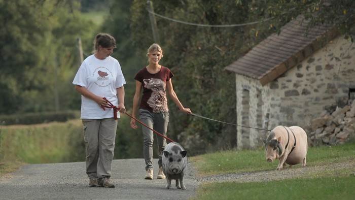 Hélène et les animaux