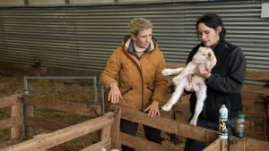 Hélène et les animaux