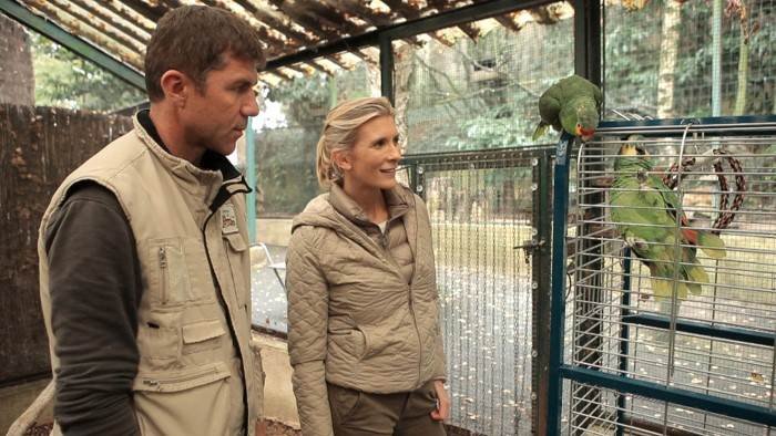 Hélène et les animaux