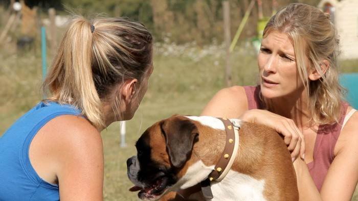 Hélène et les animaux