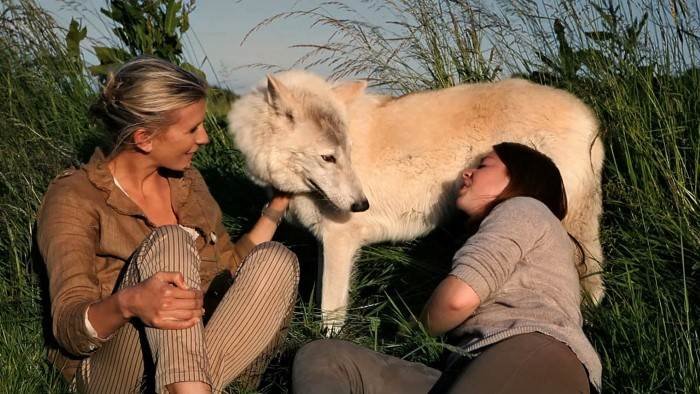 Hélène et les animaux