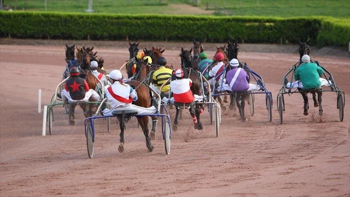 Hippisme
