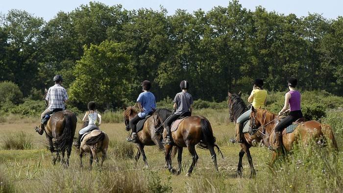 Hongrie, à cheval entre tradition et modernité