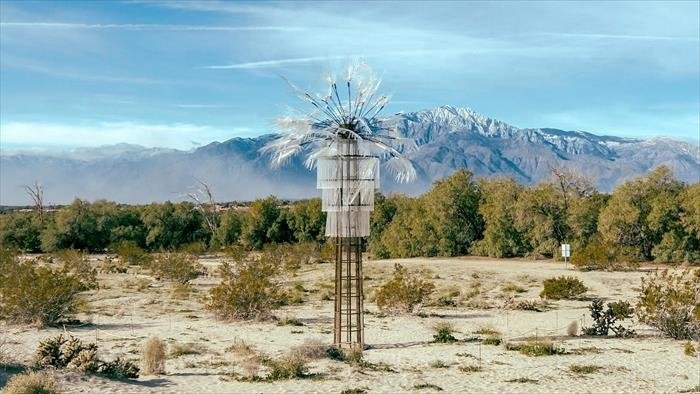 L'art s'invite dans le désert