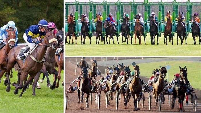 L'intégrale des courses
