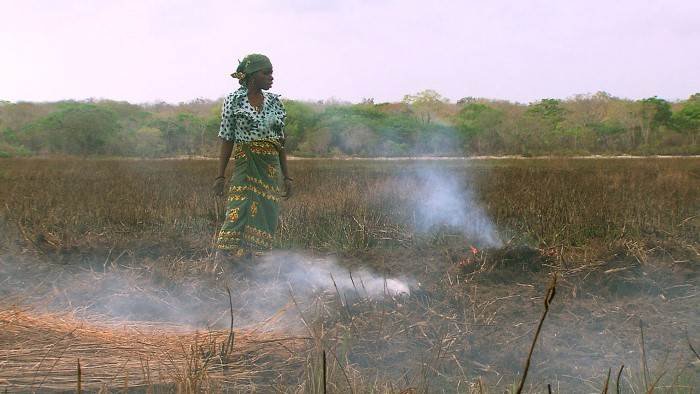 La biodiversité menacée
