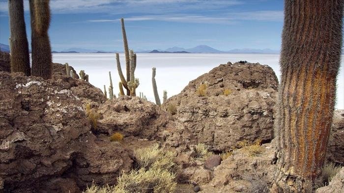 Les Andes, nature extrême