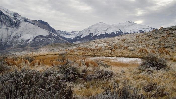 Les Andes, nature extrême