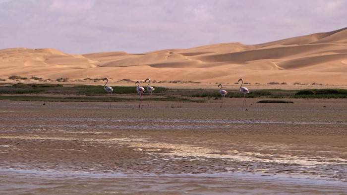 Les couleurs du Maroc