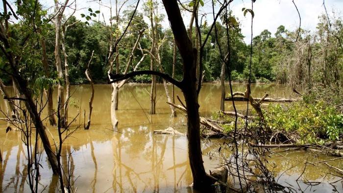 Les mondes inondés