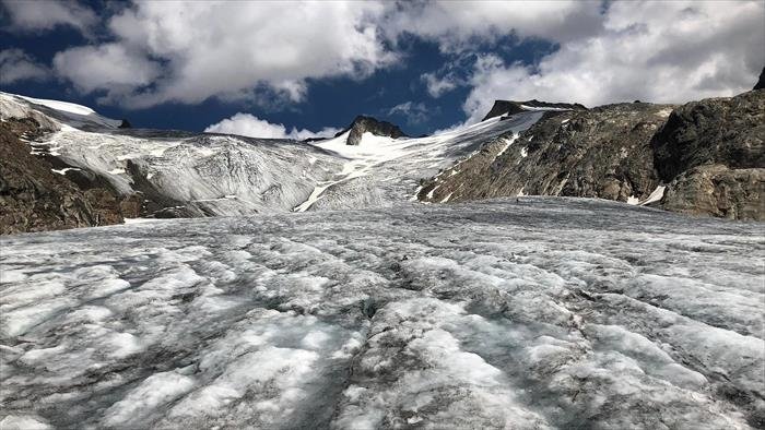 Les trésors des glaces