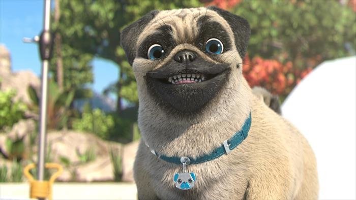 Mike, une vie de chien