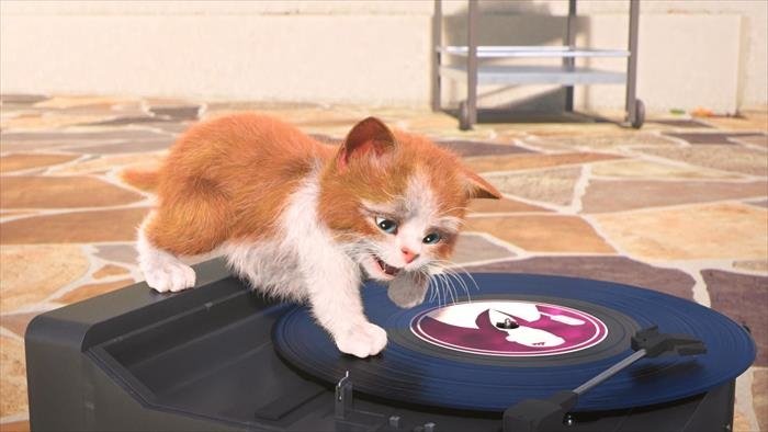 Mike, une vie de chien
