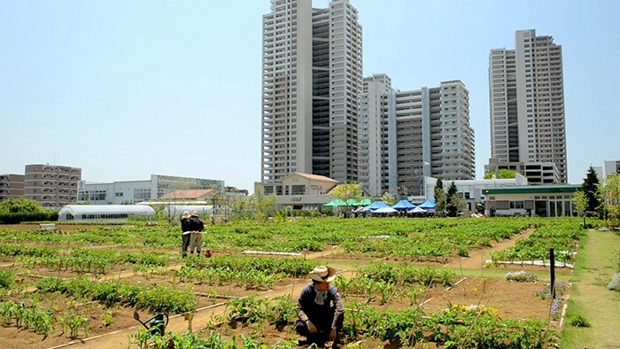 Naturopolis