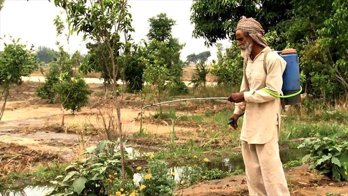 Nourrir l'humanité, une course contre la montre