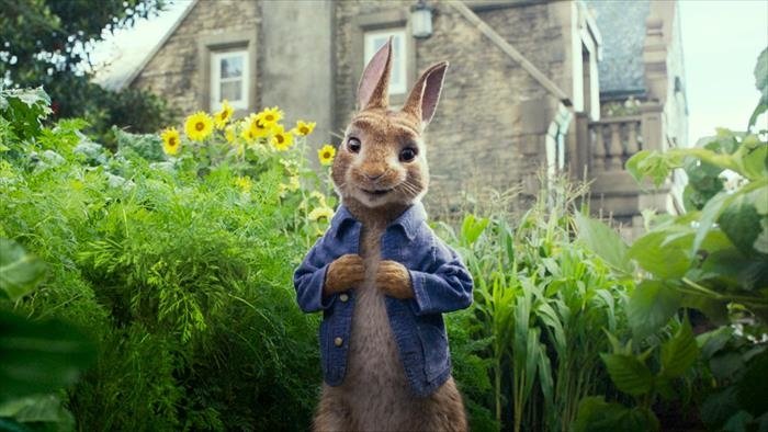 Pierre Lapin