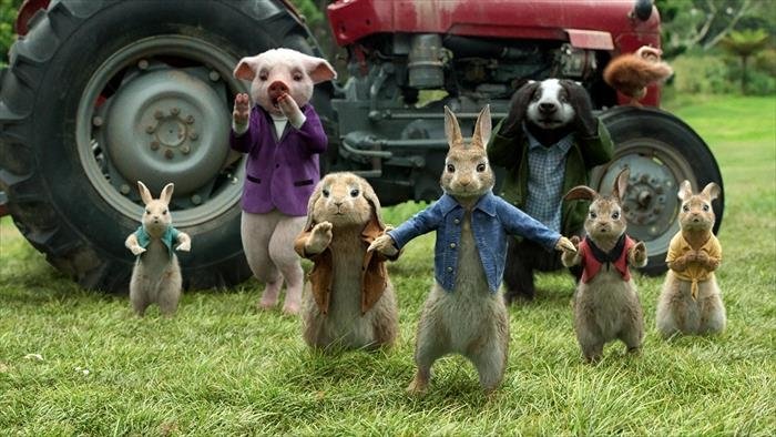 Pierre Lapin