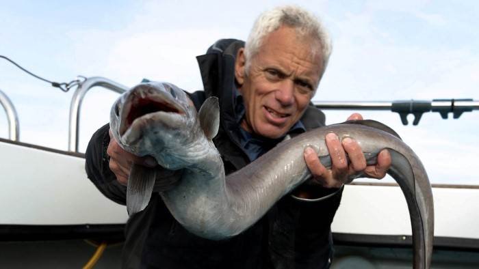 River Monsters