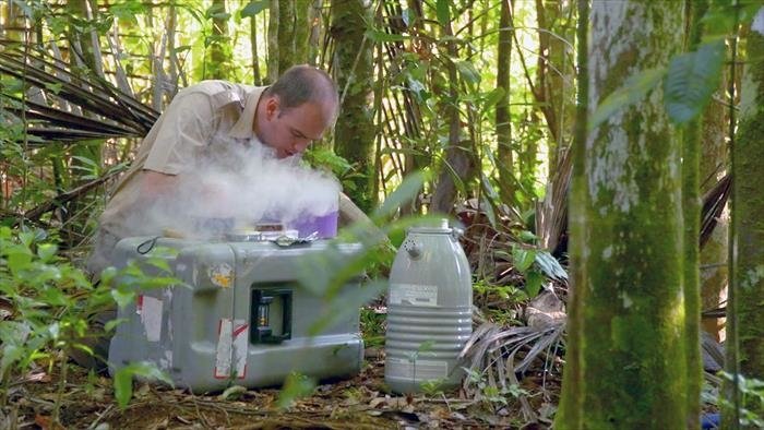 Sols contaminés : des plantes à la rescousse