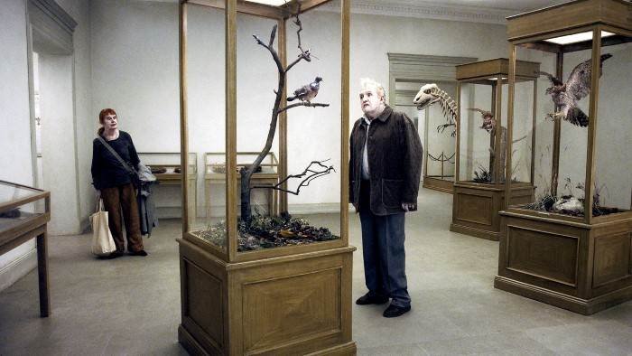 Un pigeon perché sur une branche philosophait sur l'existence