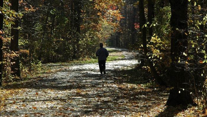 Une forêt pour 100 000 chasseurs