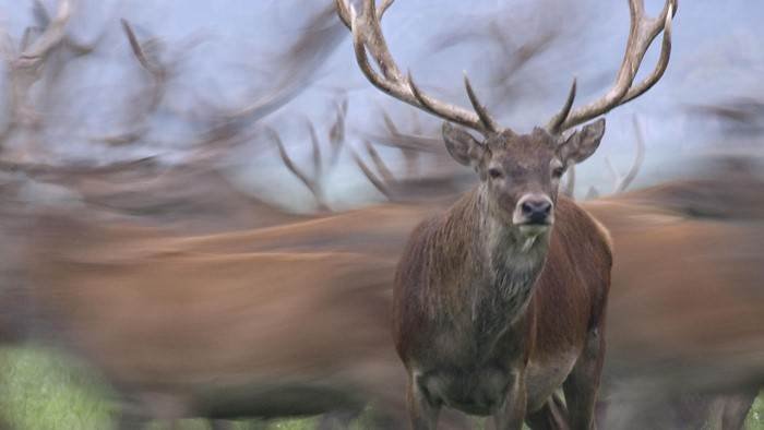 Une réserve au fil des saisons