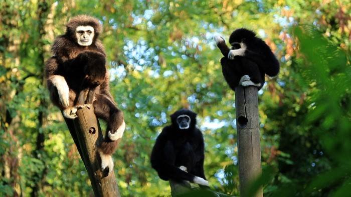 Zoo Nursery France