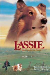Les Nouvelles aventures de Lassie