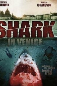 Shark In Venice