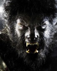 Le Loup-Garou : Universal pose une date pour son monstre