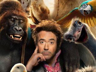 Dr Dolittle : Robert Downey Jr. parle aux animaux dans la bande-annonce