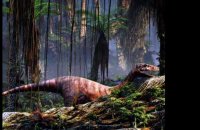 Ptérodactyles 3D : Dans le ciel des dinosaures - Bande annonce 1 - VF - (2011)