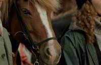 Des chevaux et des hommes - Bande annonce 1 - VO - (2013)