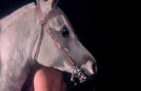 Equus - bande annonce 2 - VOST - (1978)