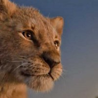 Le Roi Lion - Bande annonce 1 - VF - (2019)