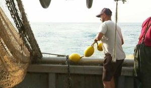 En Méditerranée, les chalutiers inquiets face à la baisse du nombre de jours de pêche