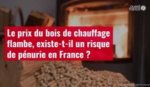 VIDÉO. Le prix du bois de chauffage flambe, existe-t-il un risque de pénurie en France ?