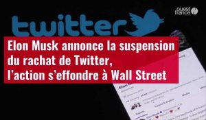 VIDÉO. Elon Musk annonce la suspension du rachat de Twitter, l’action s’effondre à Wall Street