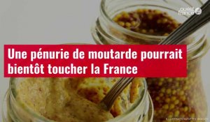 VIDÉO. Une pénurie de moutarde pourrait bientôt toucher la France