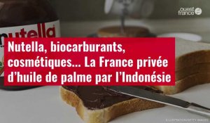 VIDÉO. Nutella, biocarburants, cosmétiques... La France privée d’huile de palme par l’Indonésie