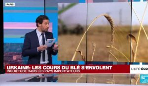 L'inquiétude des pays d'Afrique du Nord face à l'envolée des prix du blé