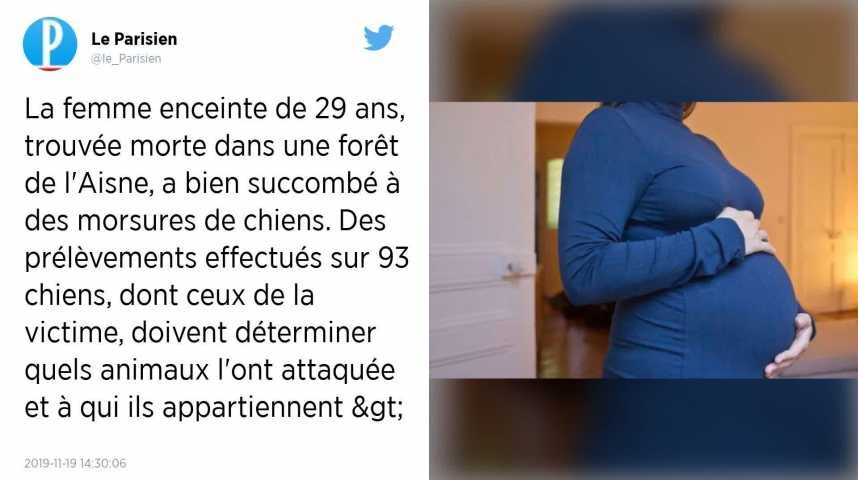 Femme Morte Porteuse De Morsures Dans Une Forêt De Laisne Des Prélèvements Effectués Sur 93 Chiens