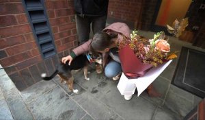 Saint-Valentin: à Washington, des chiens aident à livrer des fleurs