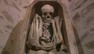 Le squelette "Ernest", un mystère en partie levé par la science